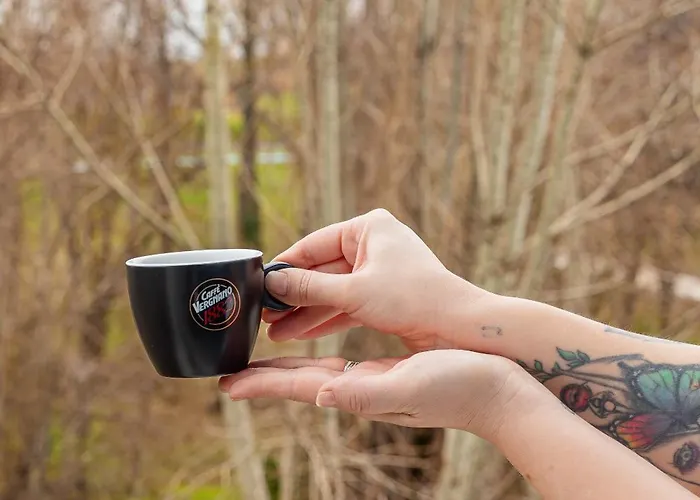 Zodiac 4* Констанца