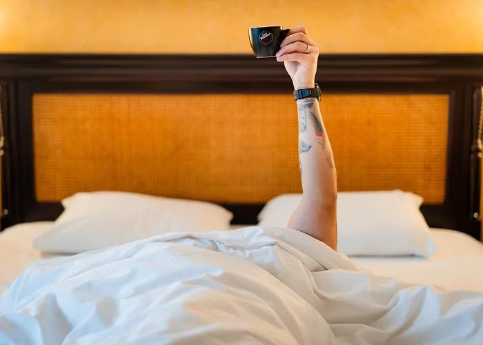 Zodiac コンスタンツァ