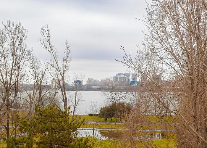 Zodiac コンスタンツァ